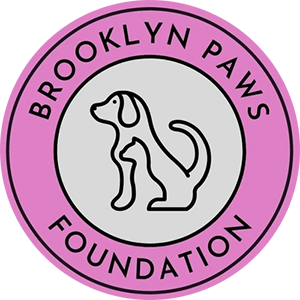 Brooklyn Paws Foundation